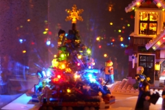 Winter 2009